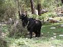turkije2005 178